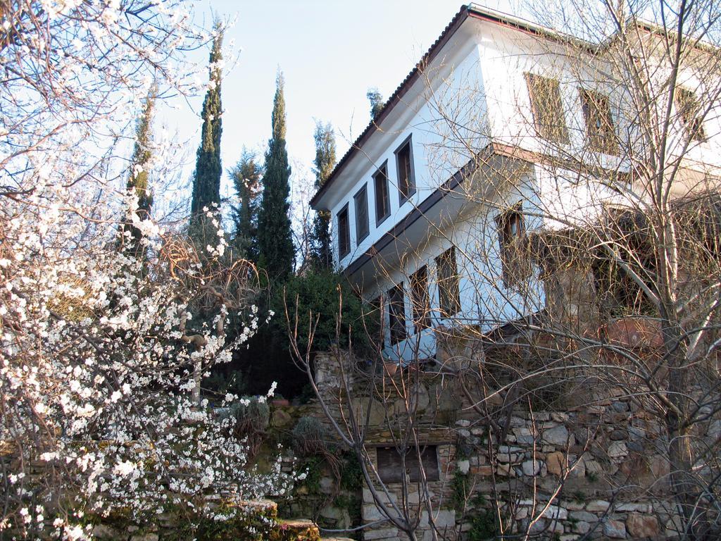 Nisanyan Hotel Selçuk Exteriör bild