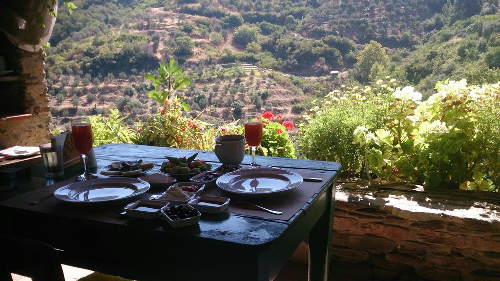 Nisanyan Hotel Selçuk Exteriör bild
