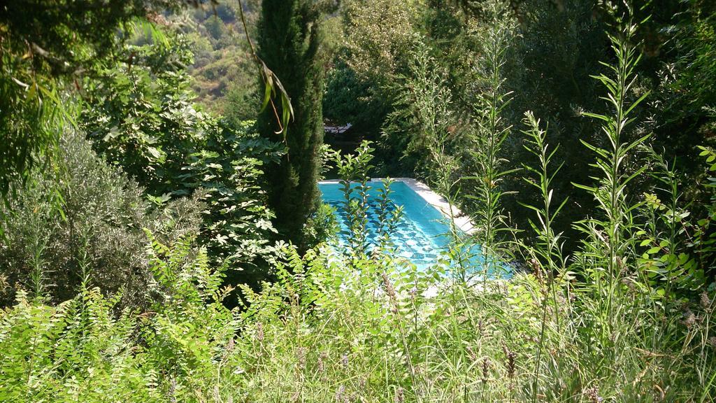 Nisanyan Hotel Selçuk Exteriör bild