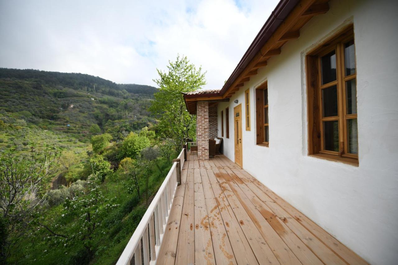 Nisanyan Hotel Selçuk Exteriör bild